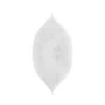 Recylable white matte doypack with window bottom view